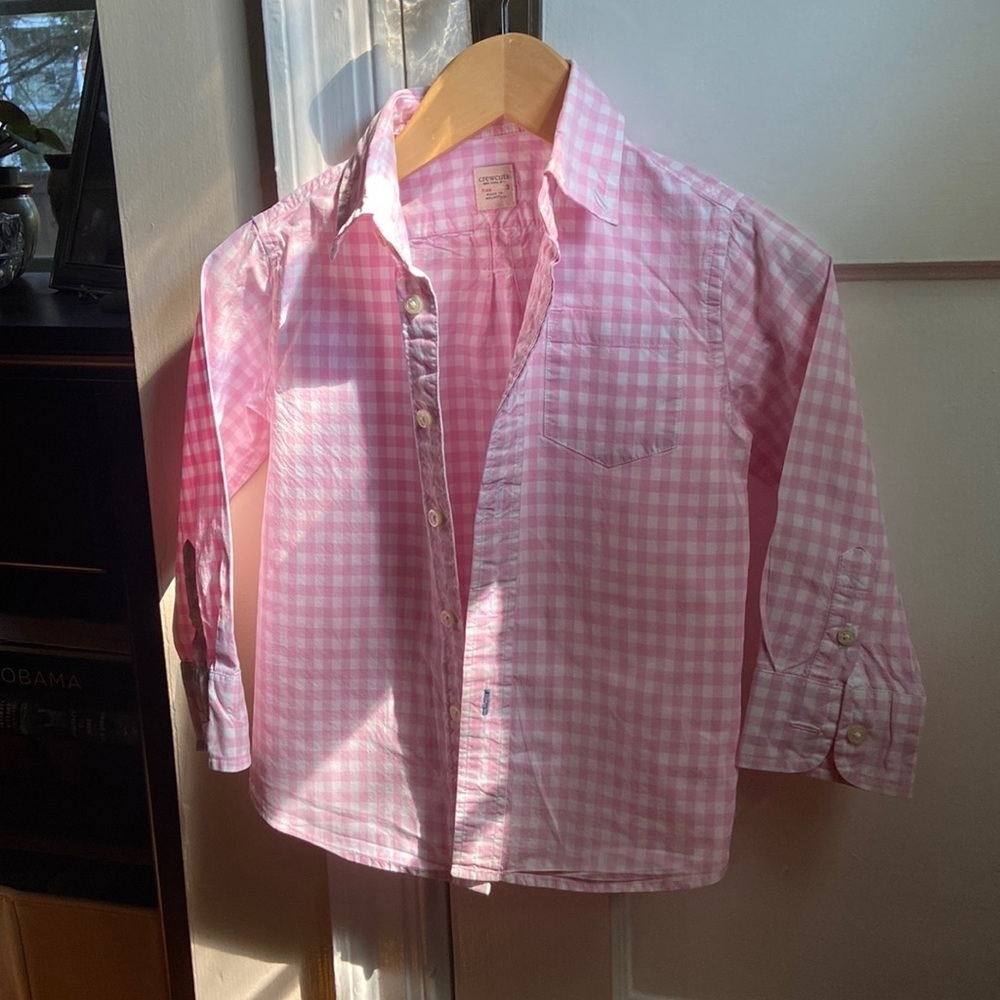 Crewcuts Pink and White Cotton Gingham Button Down